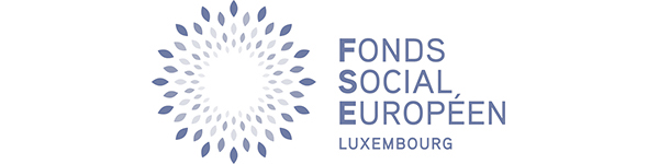 logo fond social européen